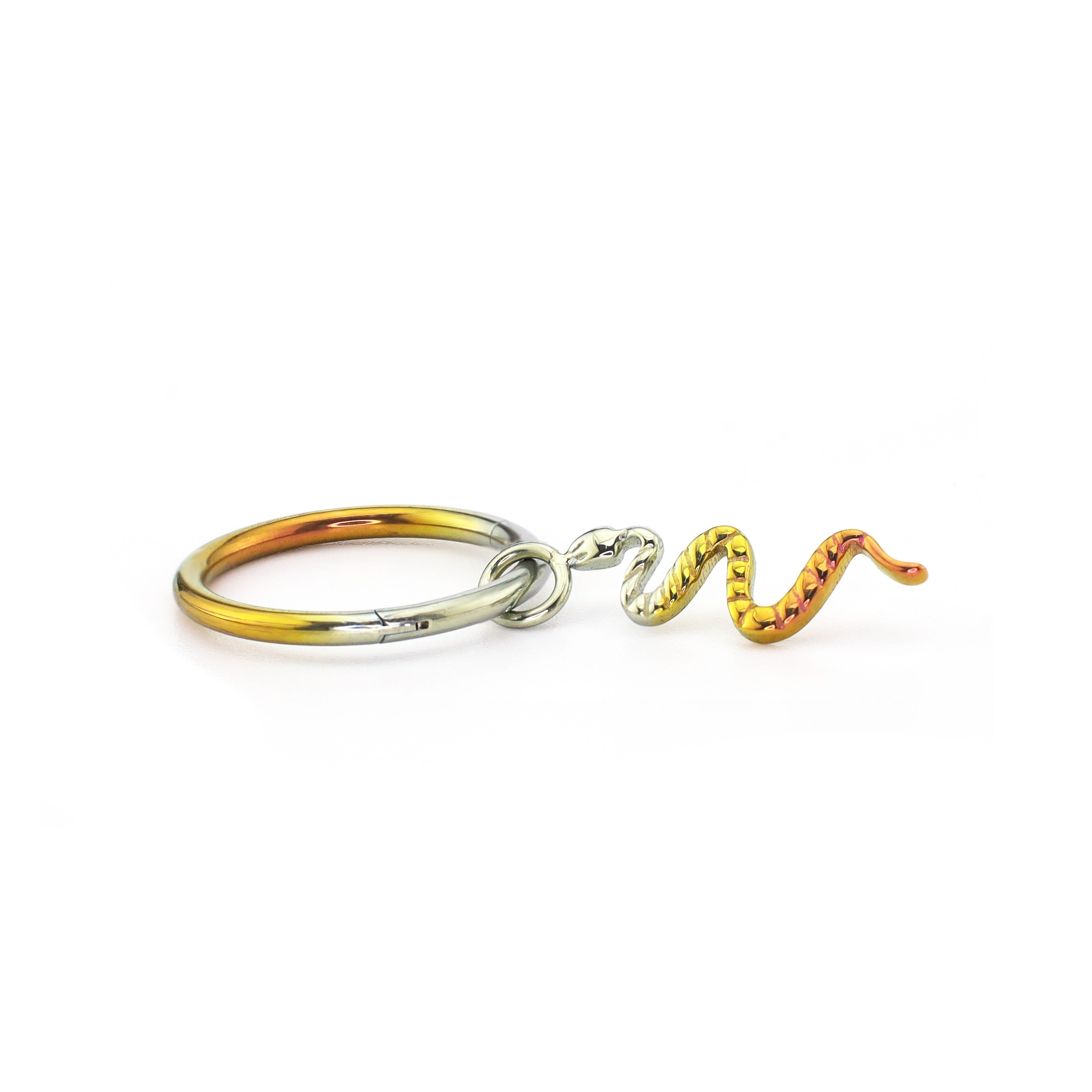 Engraved Serpent Pendant Titanium Segment Hoop