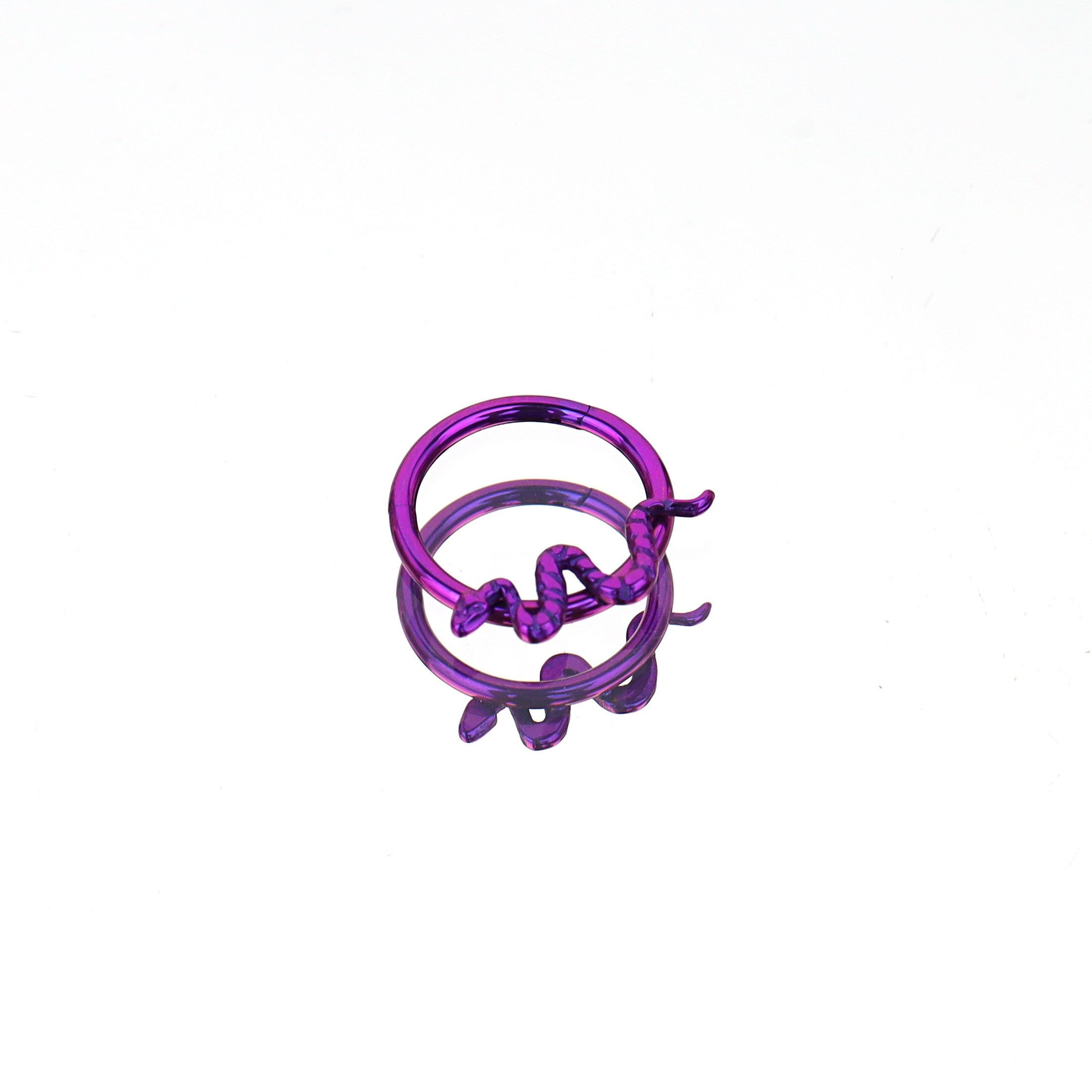 Engraved Serpent Titanium Segment Hoop