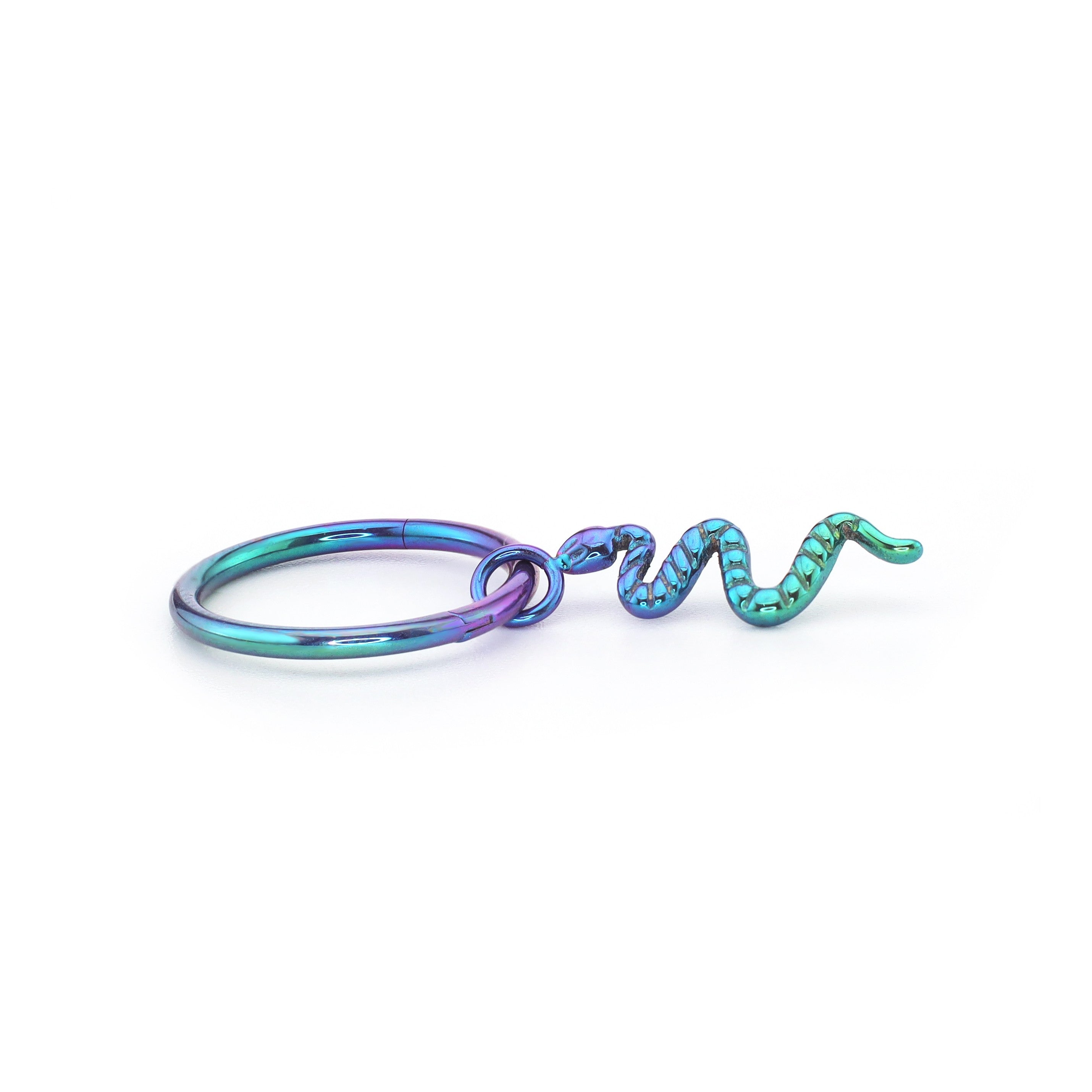 Engraved Serpent Pendant Titanium Segment Hoop