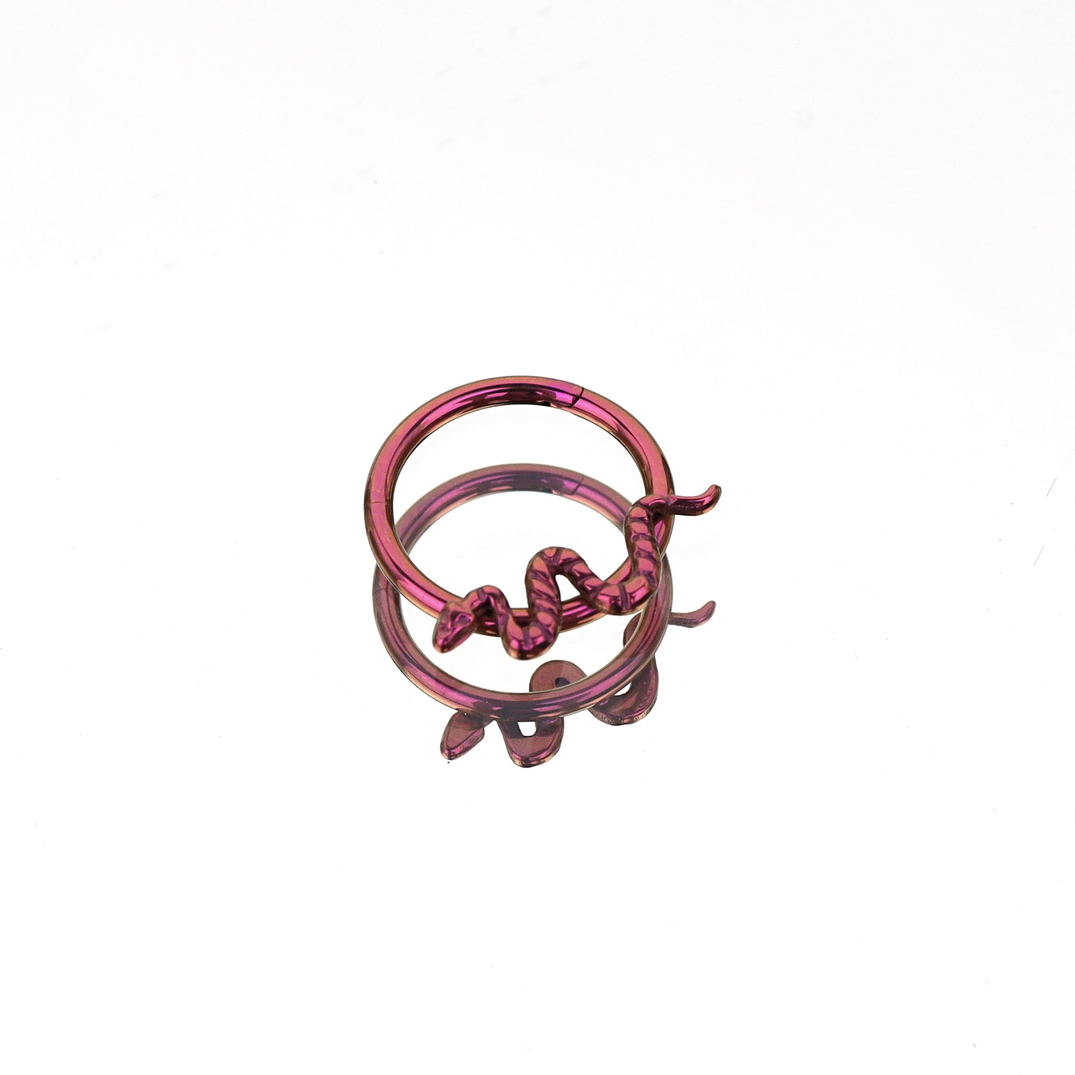 Engraved Serpent Titanium Segment Hoop
