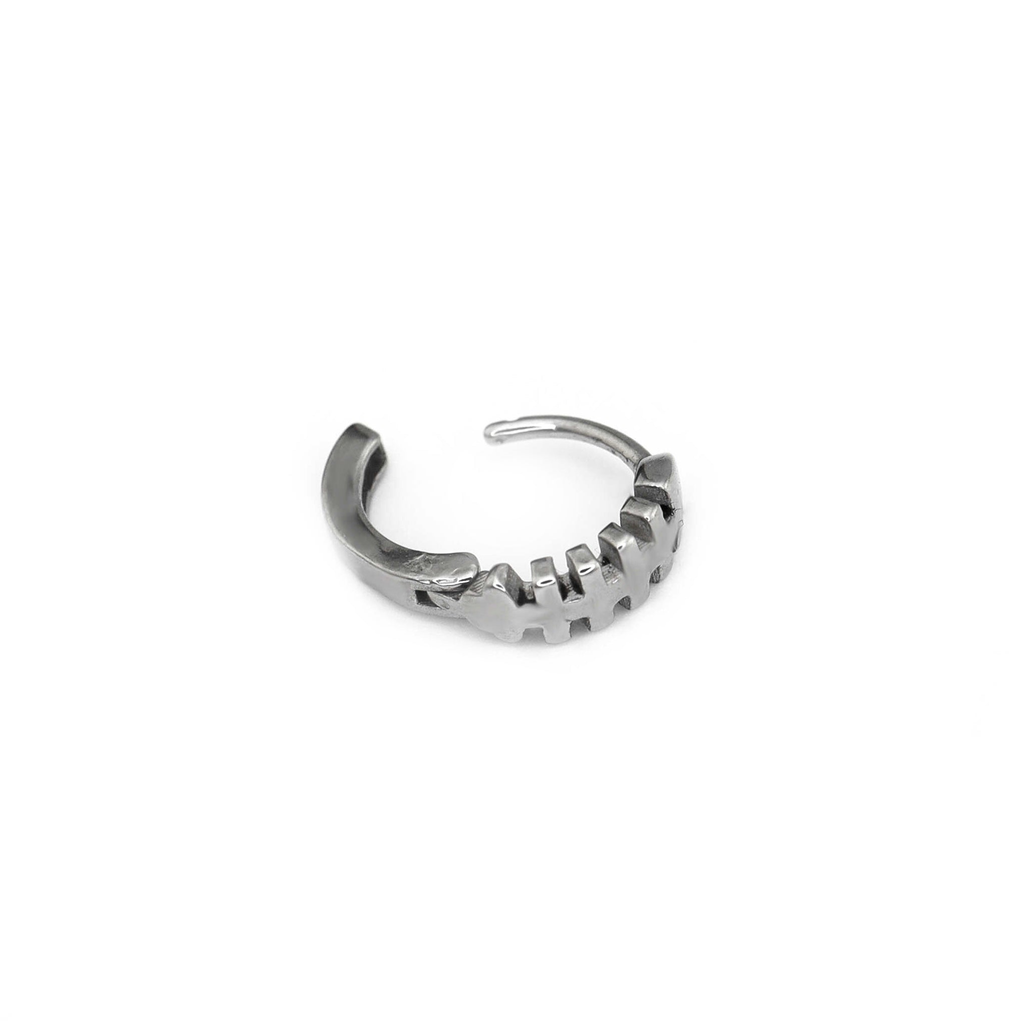 Cute Fishbone stainless steel Earrings ph1