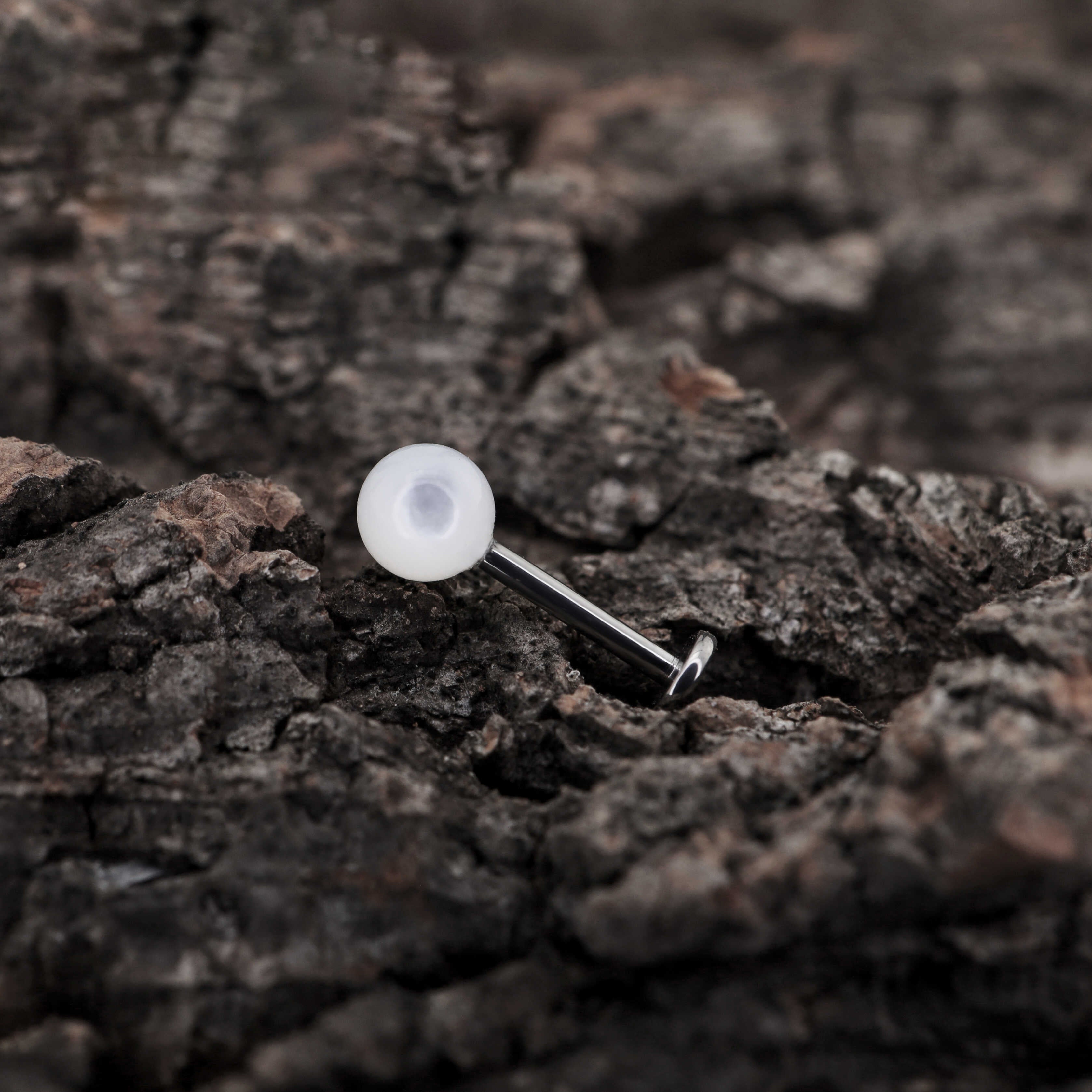 Pearl Internally Threaded Titanium Ear Studs ph1