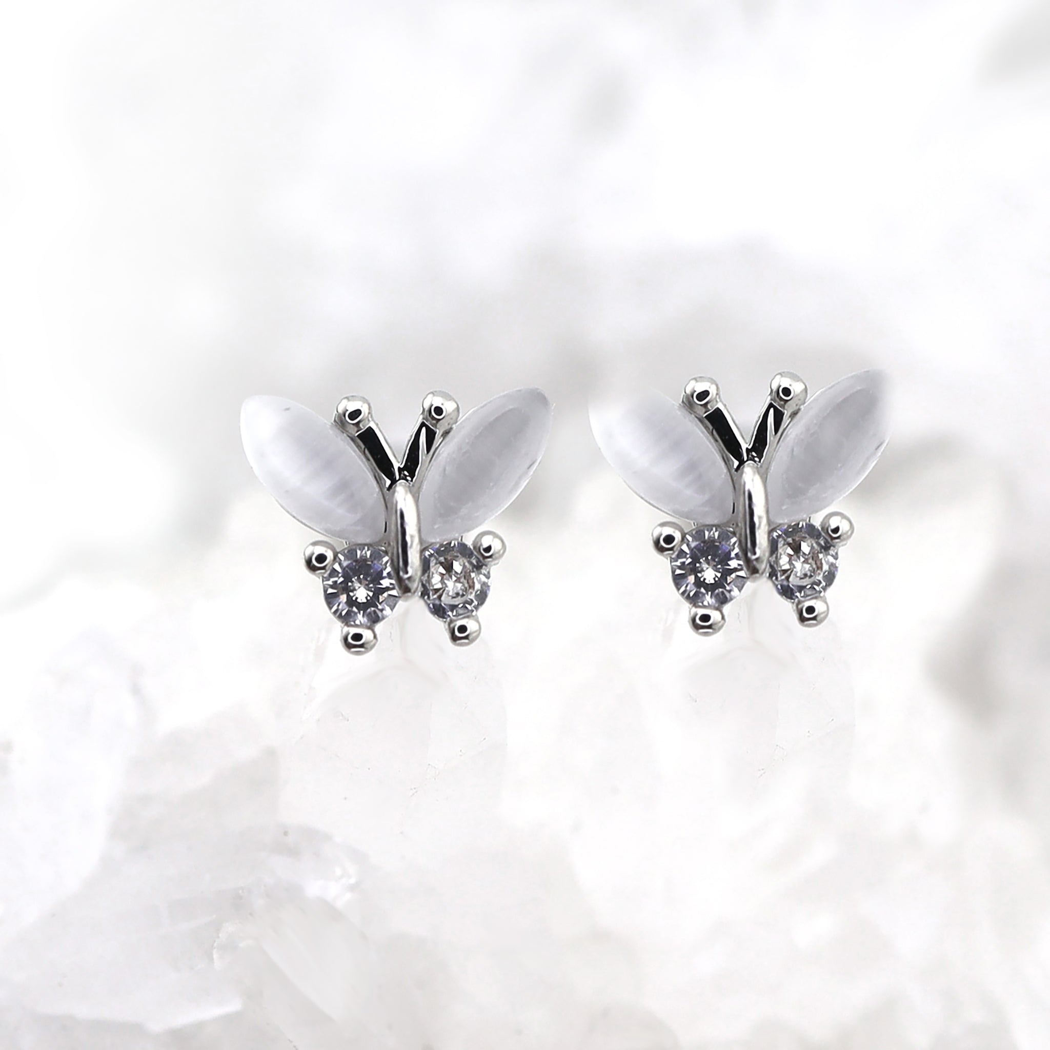 White Elegant CZ Butterfly stainless steel Ear Studs ph1