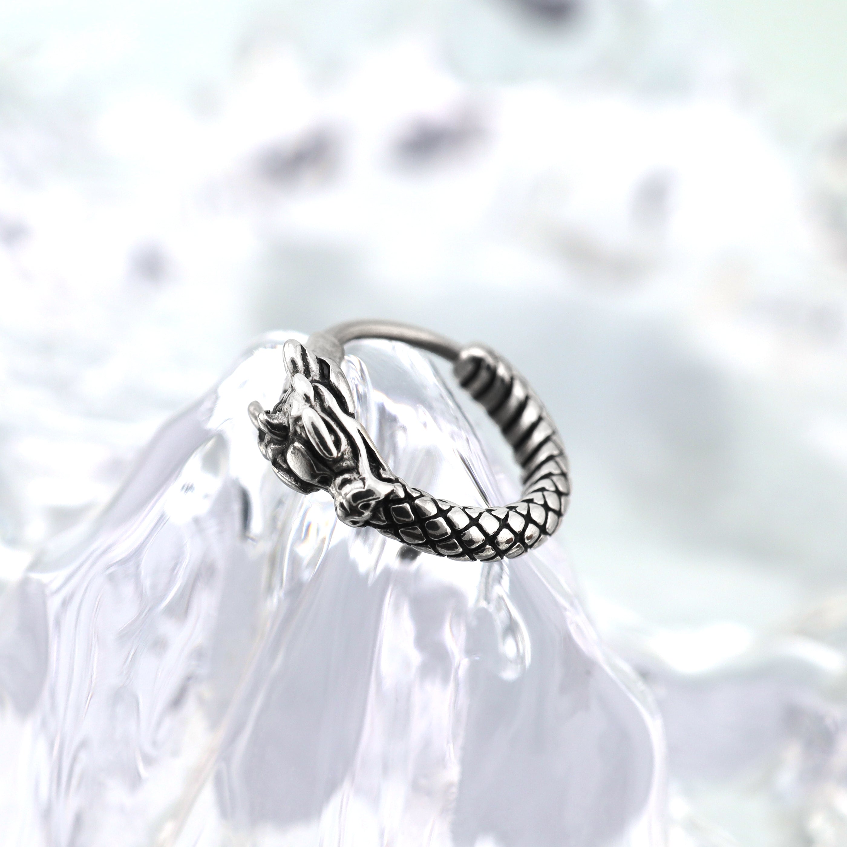 Vintage Engraved Dragon tainless steel Earrings ph1