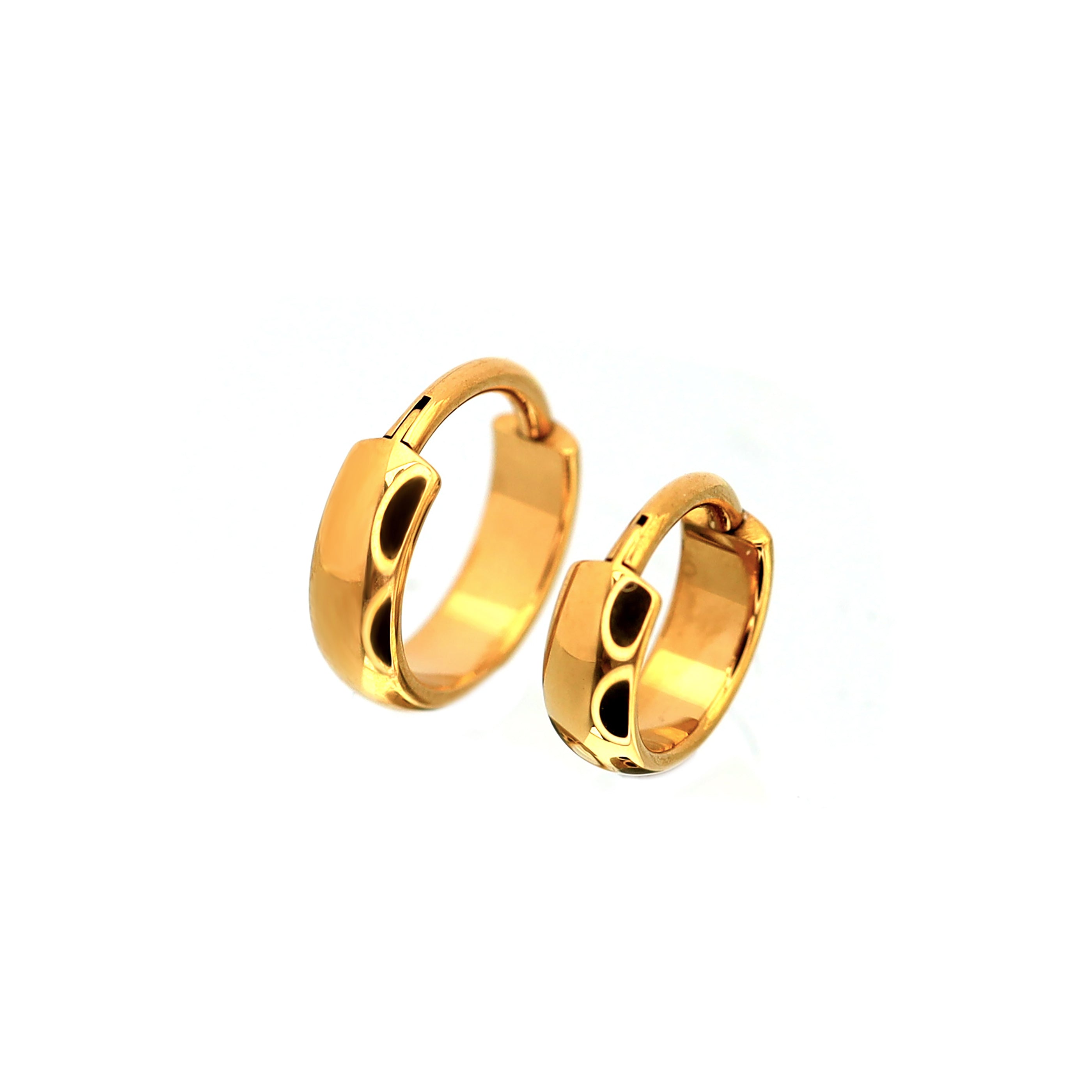 PAIR OF Wide Band TitaniumSegment Hoop ph1