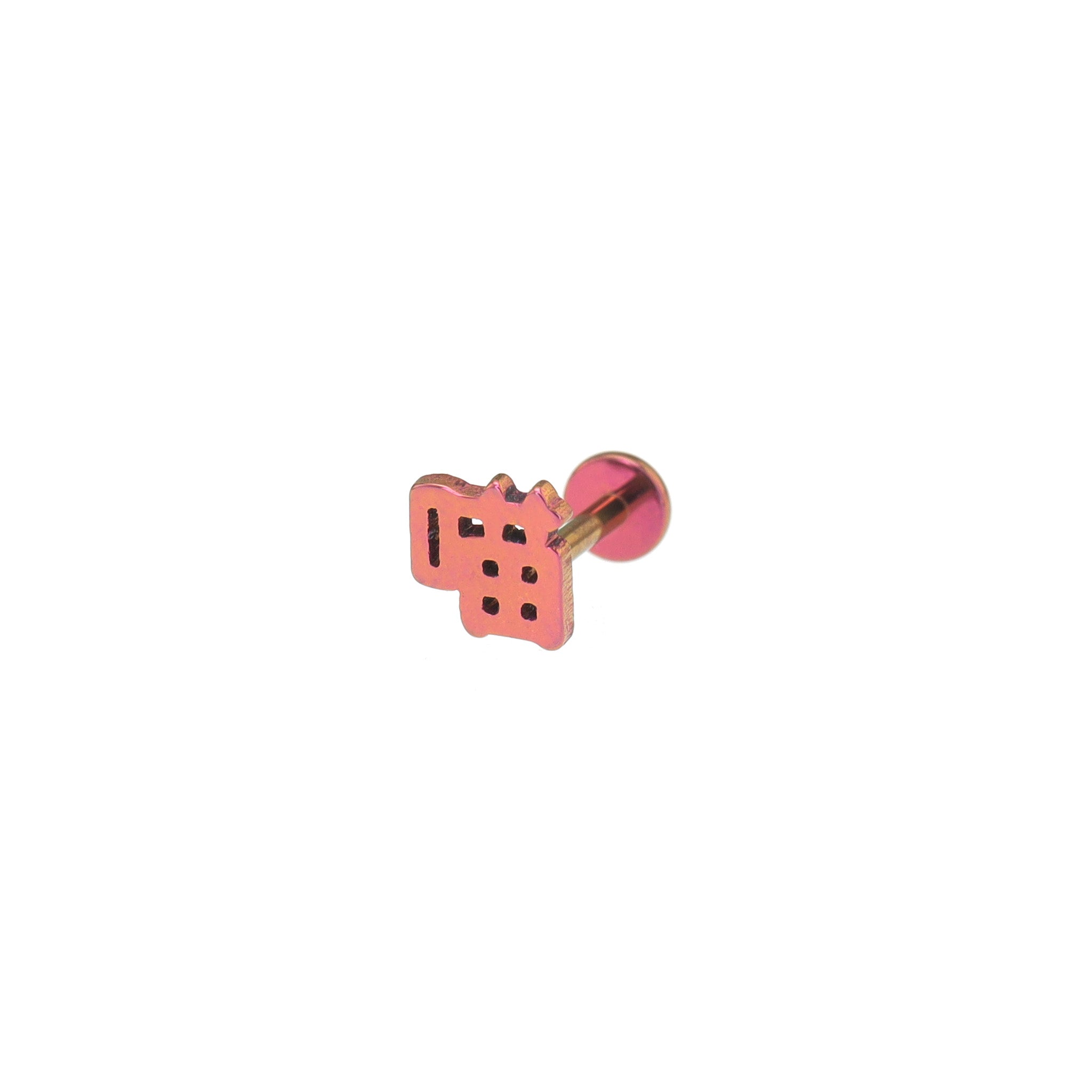 Text Engraved Titanium Ear Studs ph1