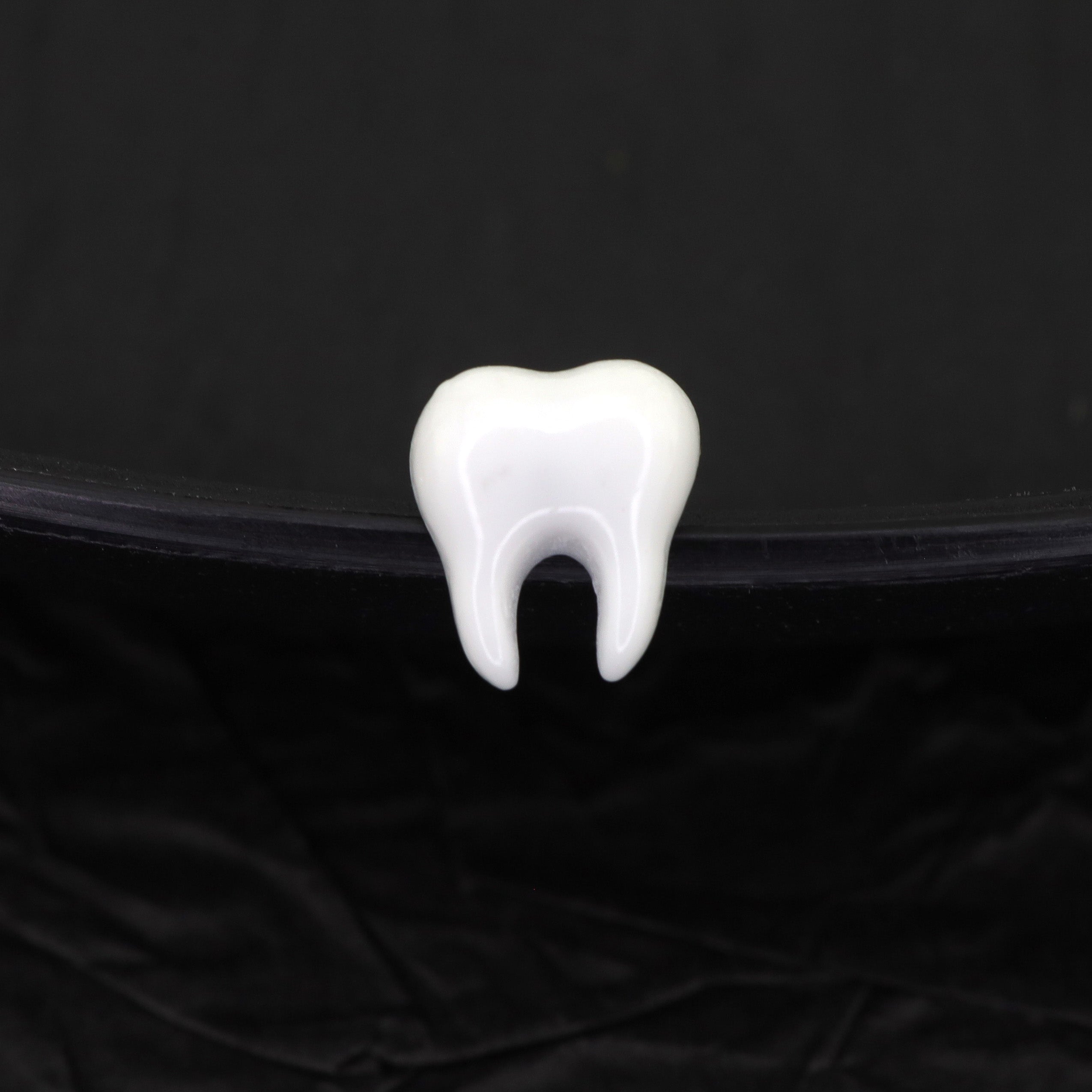 White Tooth Externally Threaded stainless steel Studs ph1