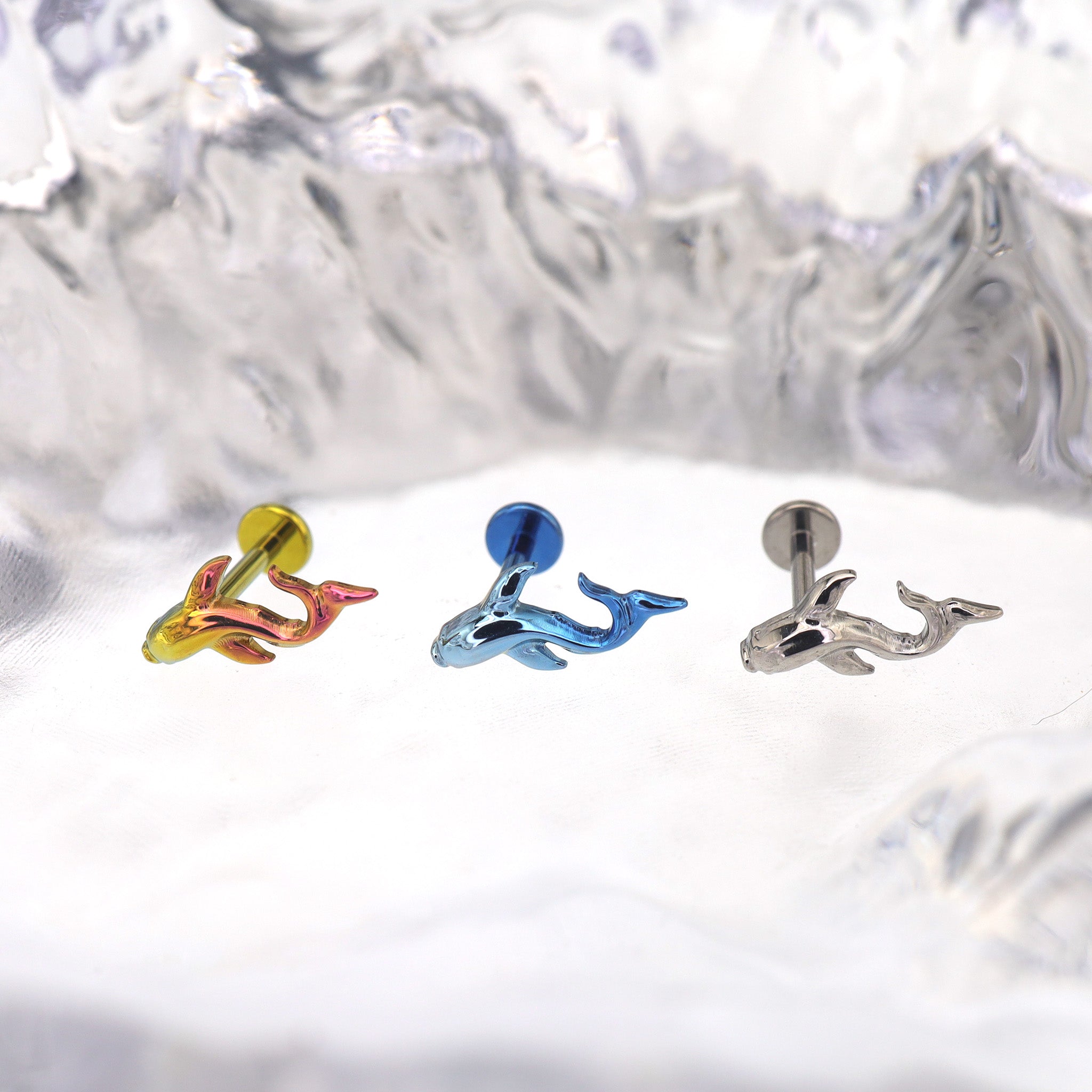 Curved Cute Fish Internally Threaded Titanium Studs