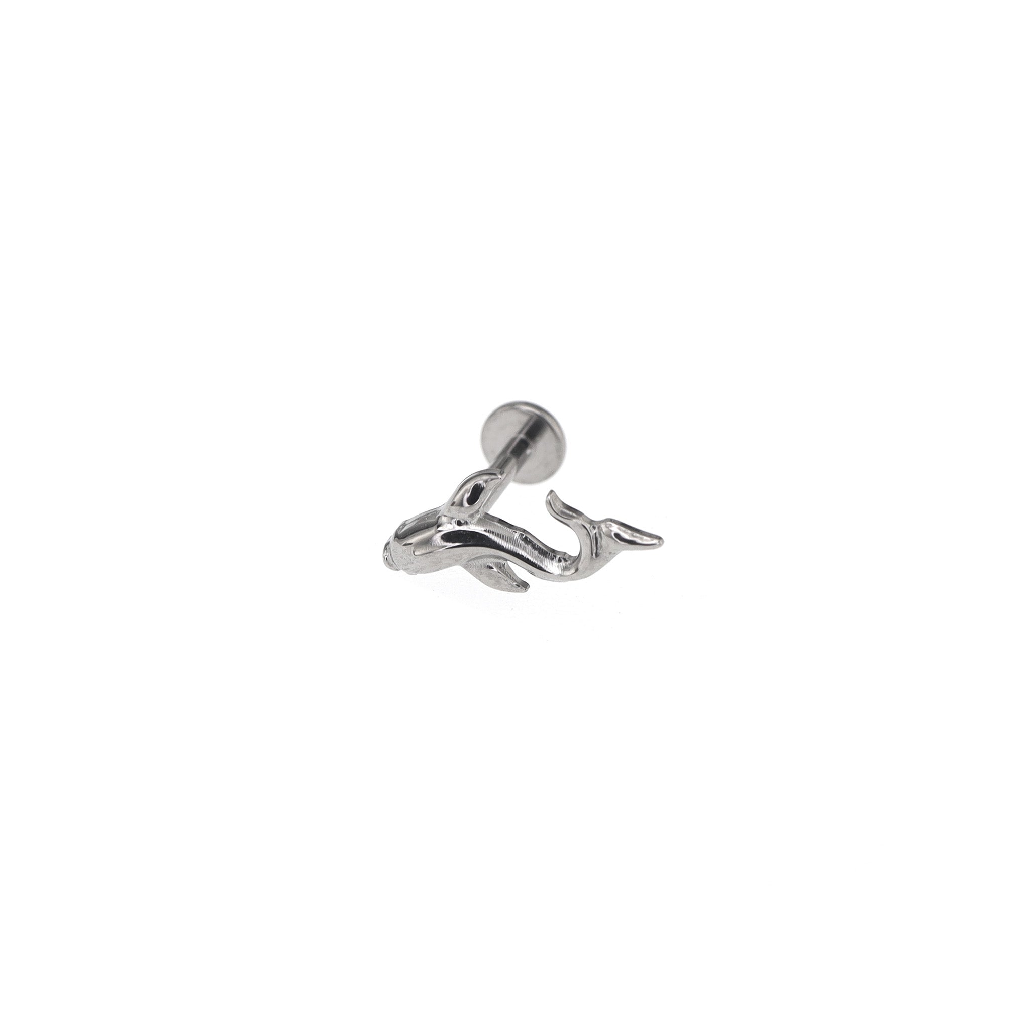 Curved Cute Fish Internally Threaded Titanium Studs