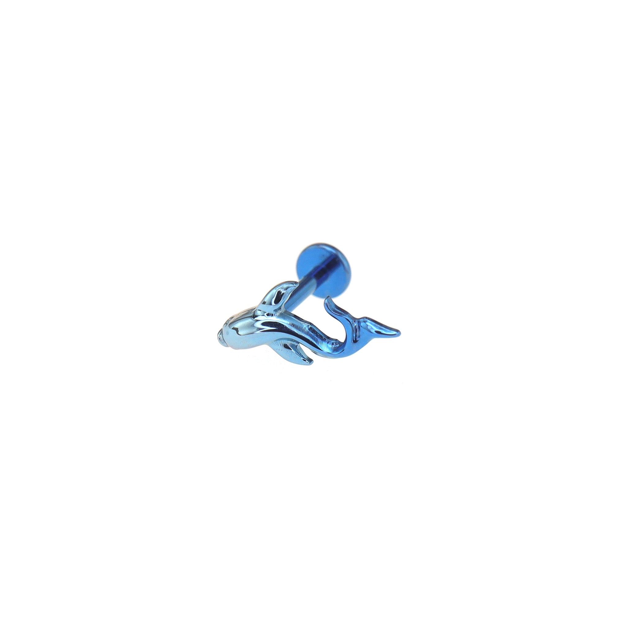 Curved Cute Fish Internally Threaded Titanium Studs