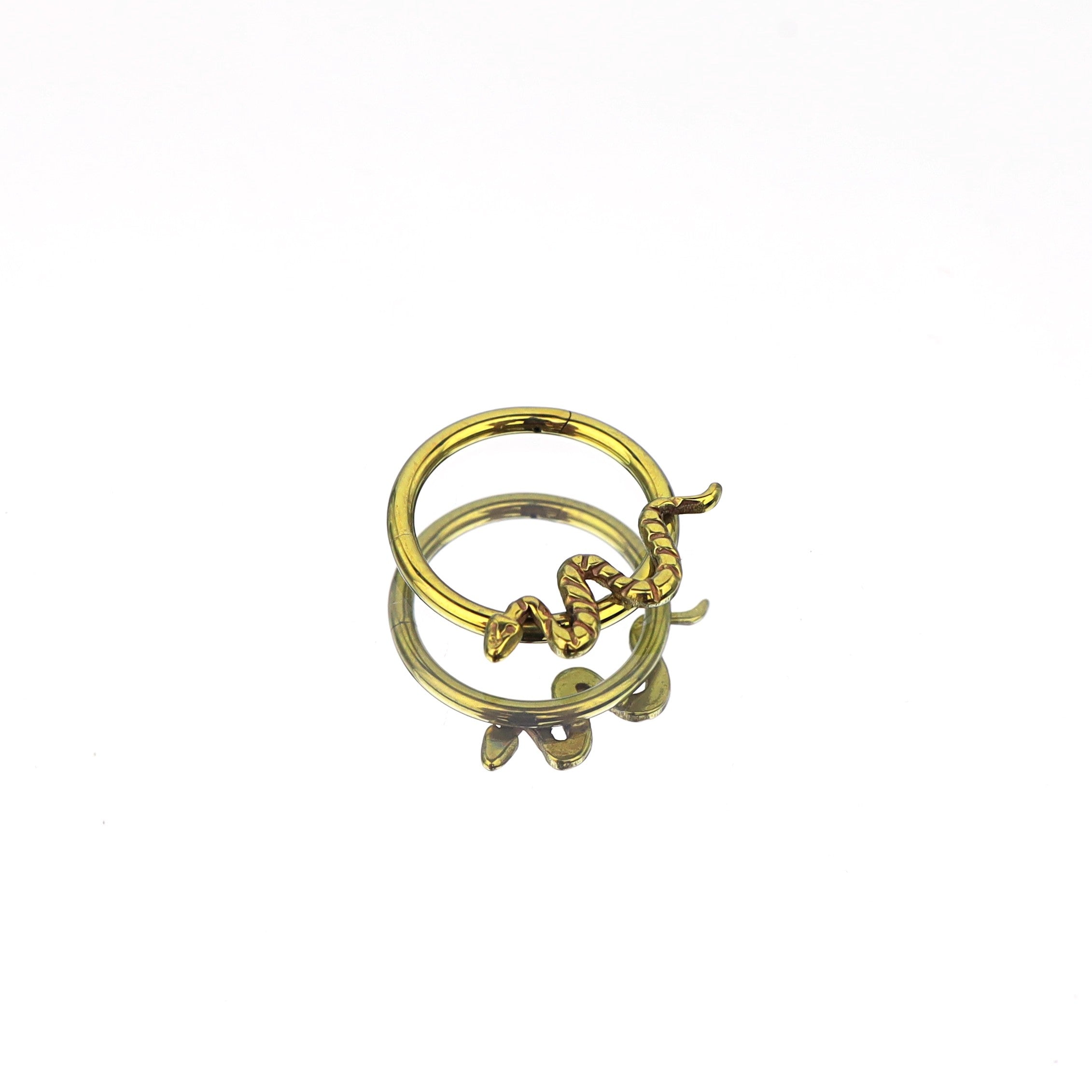 Engraved Serpent Titanium Segment Hoop