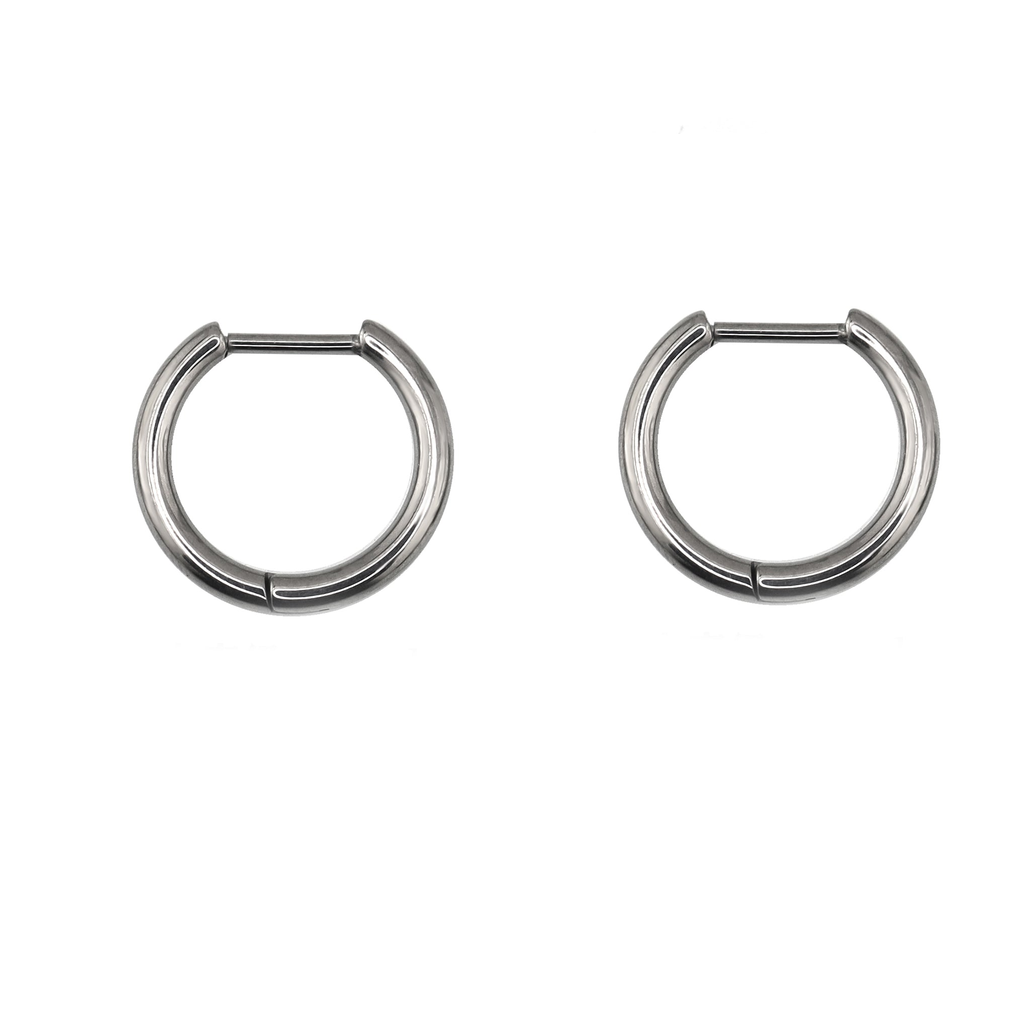 Straight Pin Titanium Segment Hoop ph1