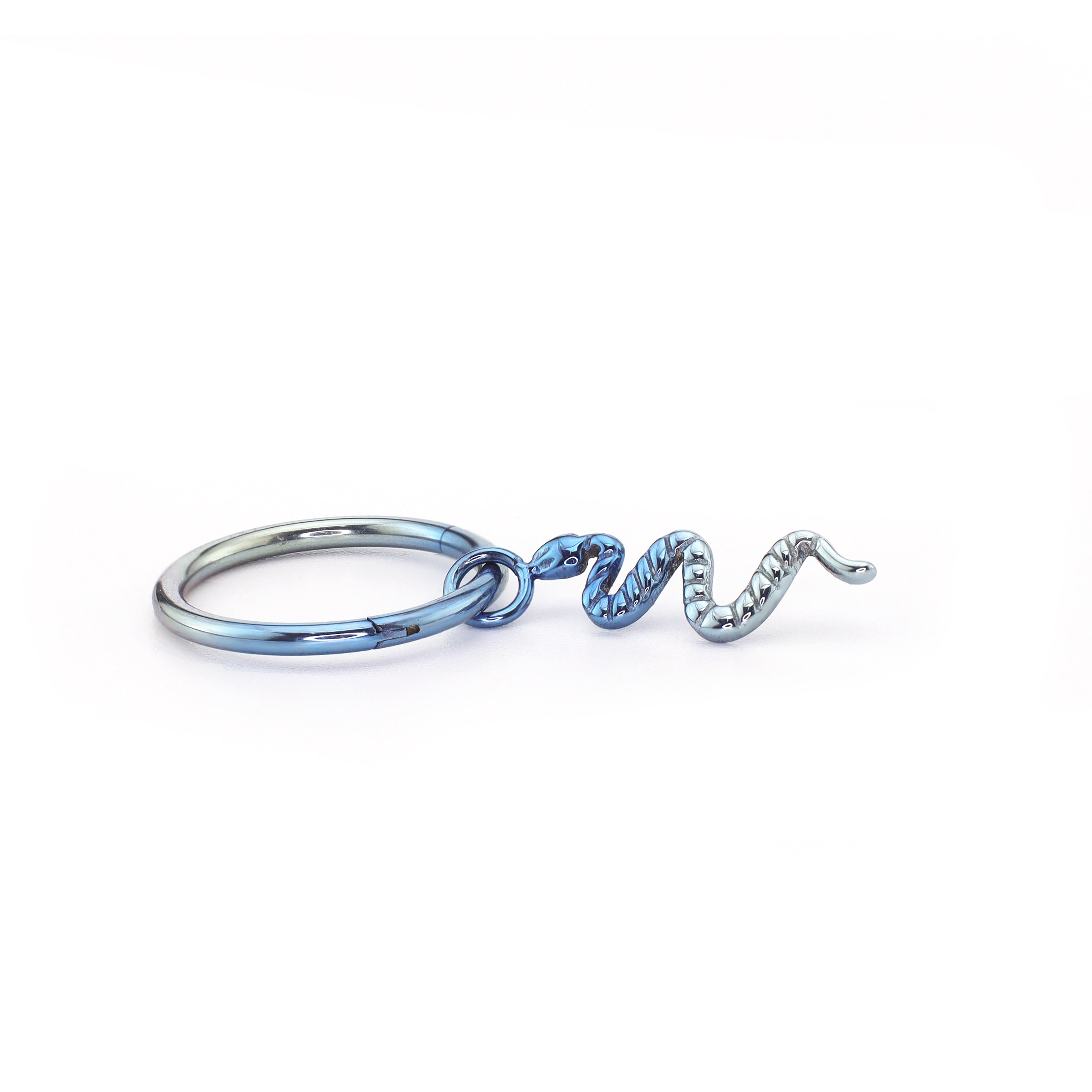 Engraved Serpent Pendant Titanium Segment Hoop