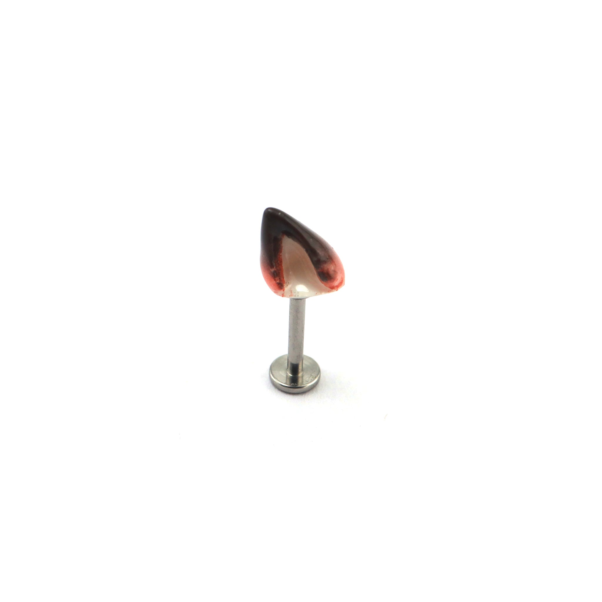 Titanium Alloy Resin Fox Ear Stud
