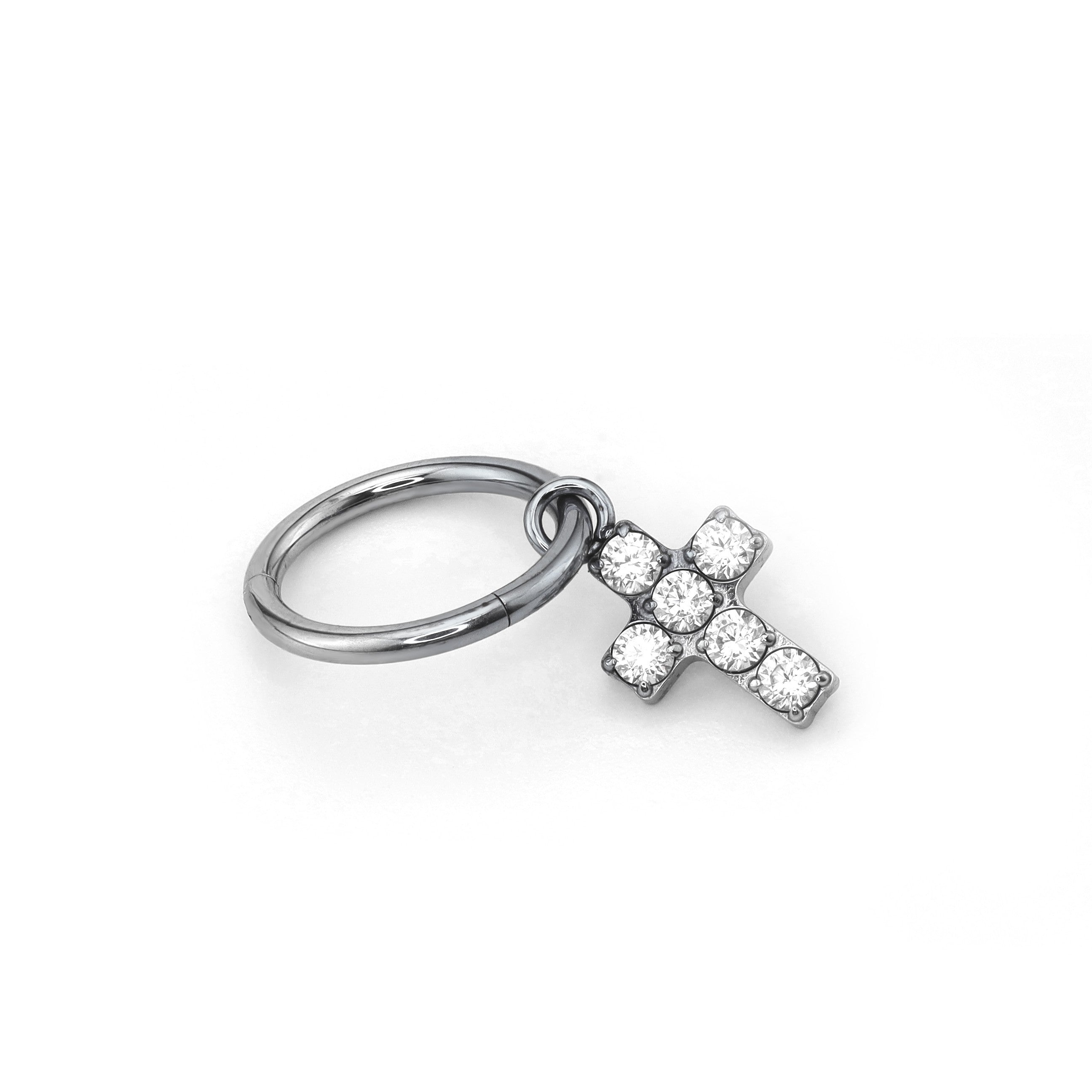 CZ Cross Pendant Titanium Segment Hoop