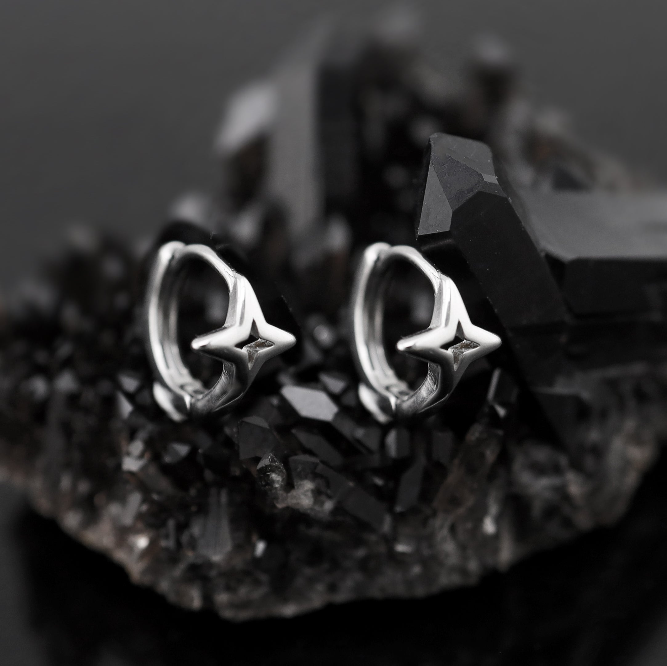 Openwork Four-Point Star tainless steel Earrings ph1