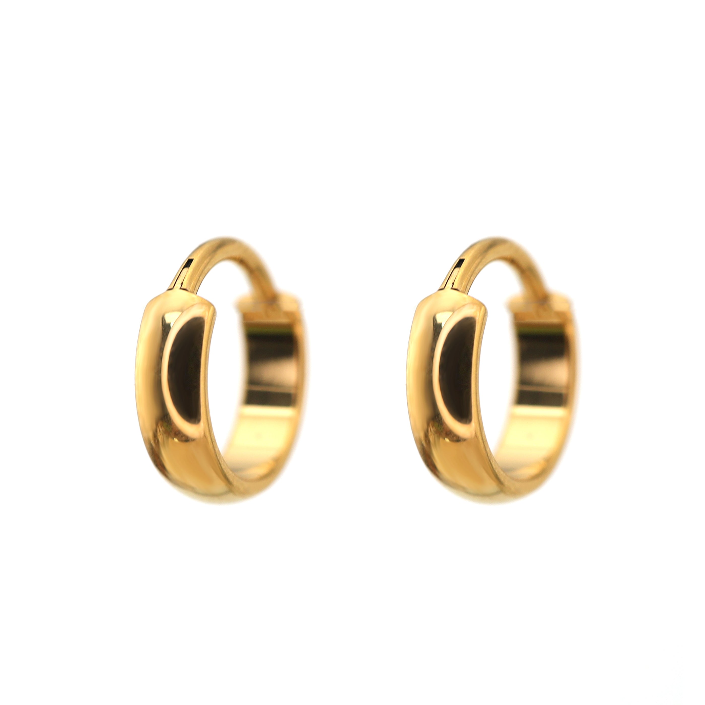 PAIR OF Wide Band TitaniumSegment Hoop ph1