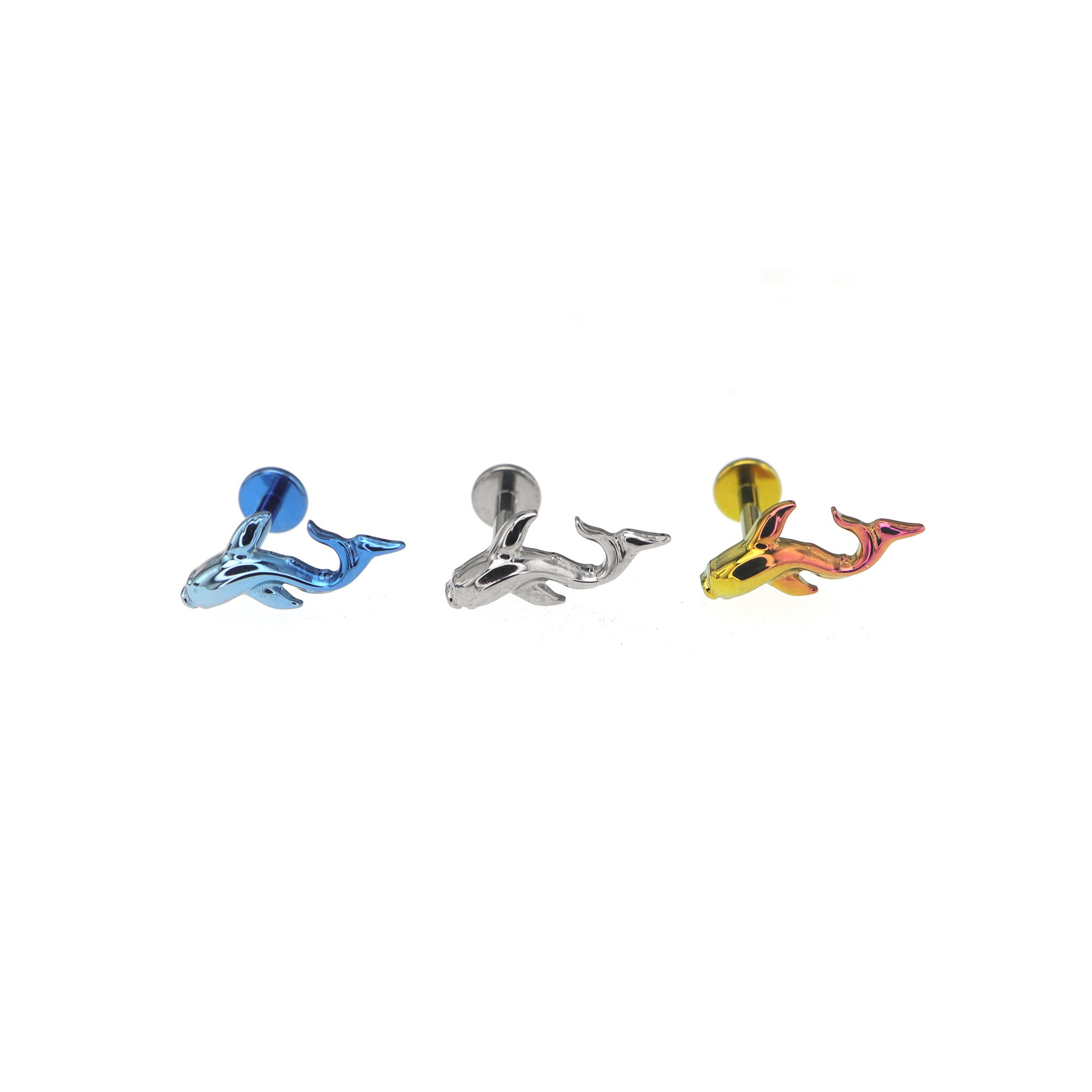 Curved Cute Fish Internally Threaded Titanium Studs