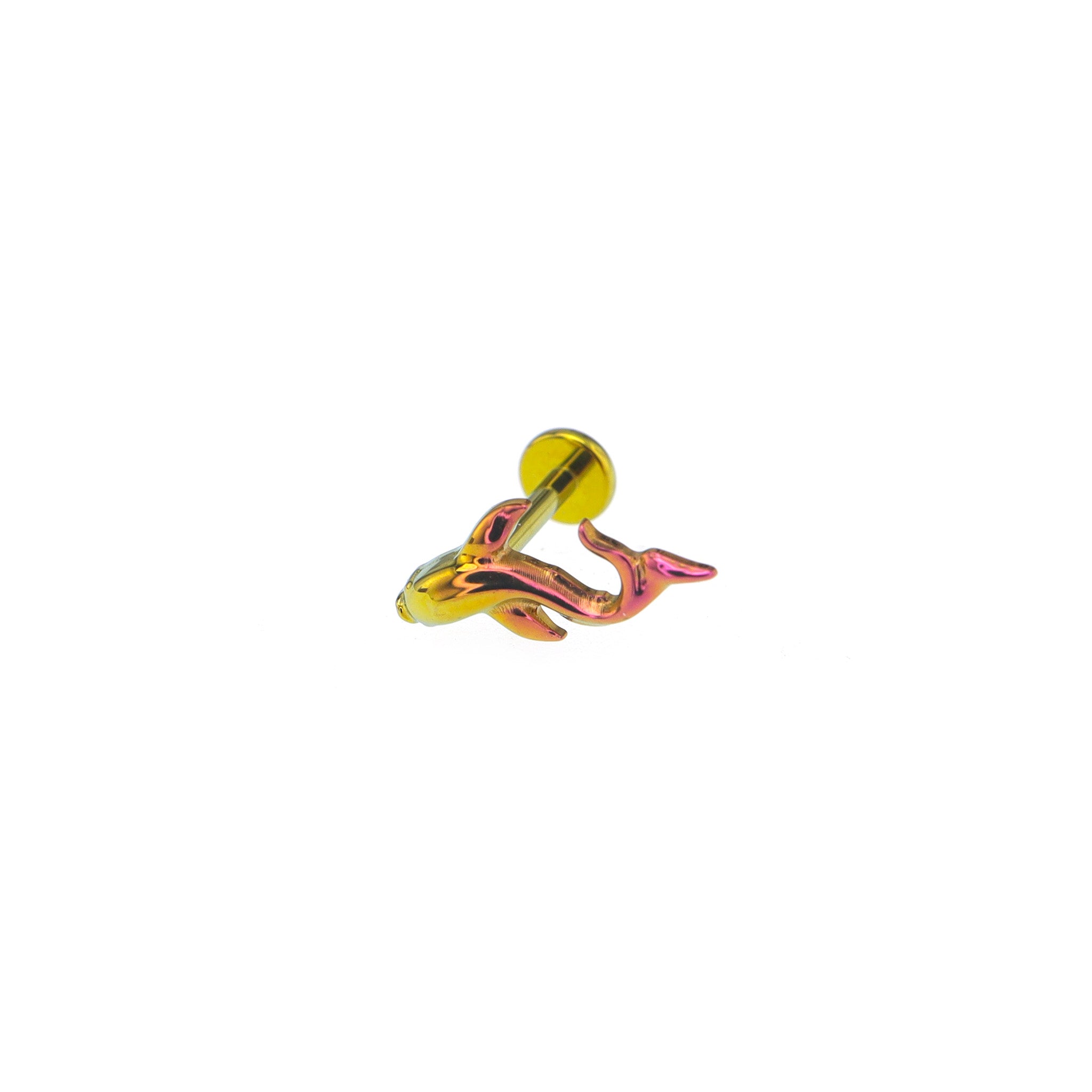 Curved Cute Fish Internally Threaded Titanium Studs